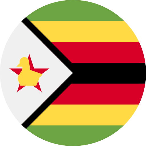 Zimsec flag